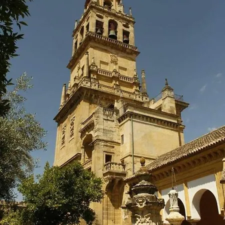 شقة A 20 Metros De La Mezquita Catedral ,apartamentos Turistico Cespedes 5