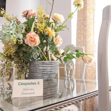 A 20 Metros De La Mezquita Catedral ,apartamentos Turistico Cespedes 5 Apartment *