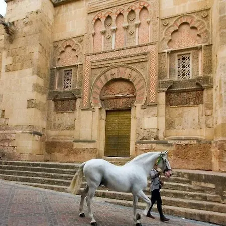 A 20 Metros De La Mezquita Catedral ,apartamentos Turistico Cespedes 5 *