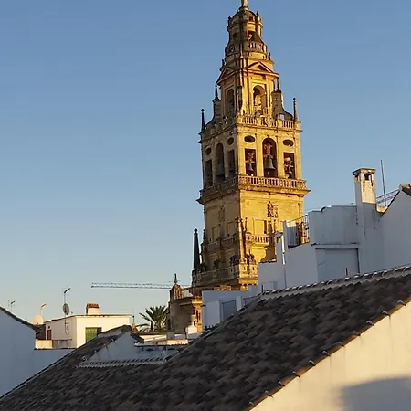 A 20 Metros De La Mezquita Catedral ,apartamentos Turistico Cespedes 5 *