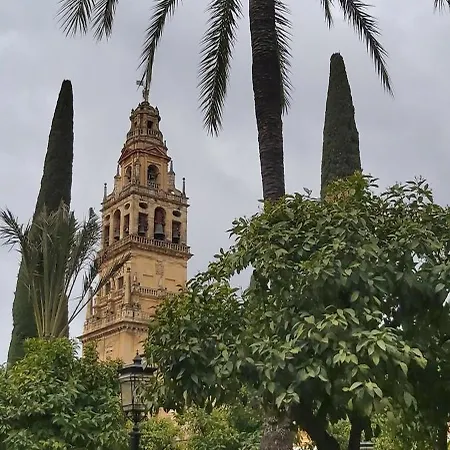 A 20 Metros De La Mezquita Catedral ,apartamentos Turistico Cespedes 5 Apartment Cordoba