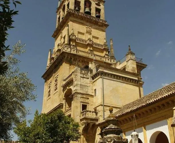 Appartamento A 20 Metros De La Mezquita Catedral ,apartamentos Turistico Cespedes 5