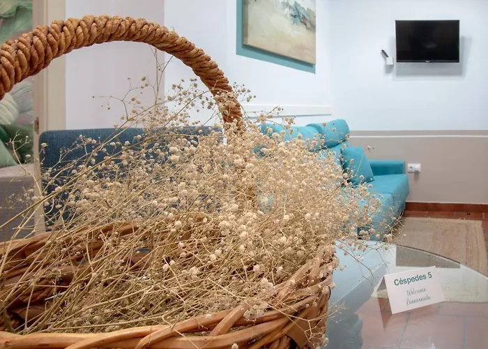 公寓 A 20 Metros De La Mezquita Catedral ,apartamentos Turistico Cespedes 5 *