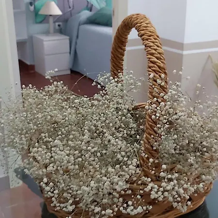 A 20 Metros De La Mezquita Catedral ,apartamentos Turistico Cespedes 5 Appartement *